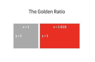 如何精确计算并应用黄金比例 3