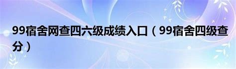 如何多次查询99宿舍网四六级准考证号 3