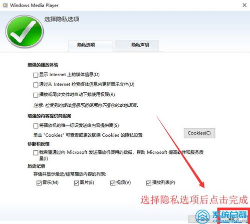 如何在Windows 10中启用Flash Player 2