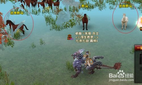 轩辕传奇商人秘籍：捕获顶级坐骑的绝妙策略