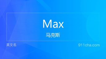 揭秘'MAX'：从基础到进阶，全面解析这个词汇的无限含义与用途！ 3