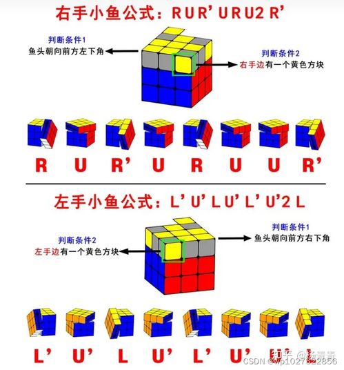 七步速成：轻松掌握三阶魔方还原法 2