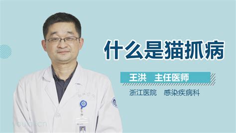 揭秘猫抓病的隐蔽信号：如何准确识别其症状？ 3