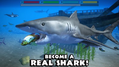 真正的鲨鱼模拟器 2