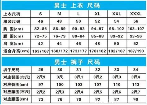 XL尺码详解：适合哪些体型人群？ 3