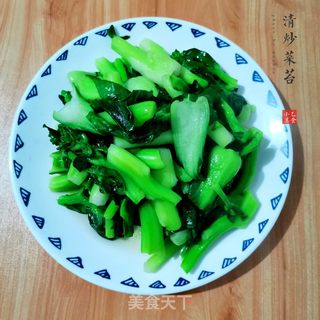 家常美味秘诀：轻松学会清炒菜苔的烹饪技巧 4