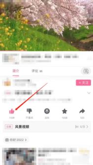 哔哩哔哩一键三连教程：轻松掌握点赞投币收藏！ 1