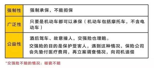 解锁车险奥秘：全面掌握爱车保障的基本知识 4