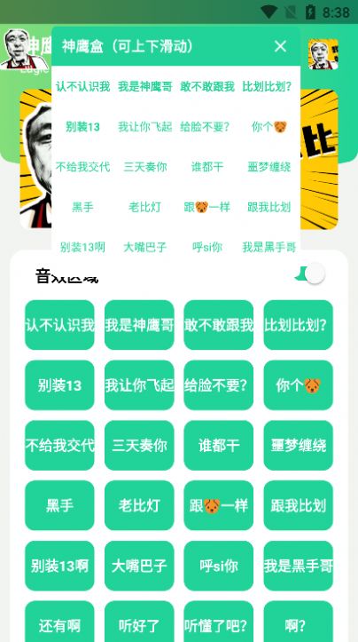 神鹰哥语音包app