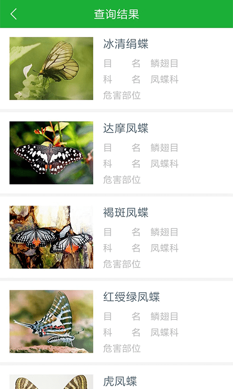 虫警appv2.2.6