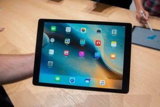 iPad Pro上Duet的使用指南 4