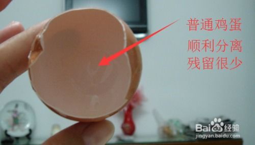 如何鉴别真伪土鸡蛋：掌握土鸡蛋识别技巧 2