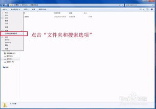 在Win7系统中更改文件扩展名的方法 2