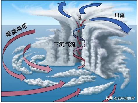 揭秘1号台风黄蜂的完整生成与行进路径图 1