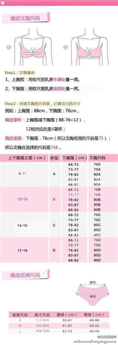 完美贴合，详解胸围尺码对照表 3