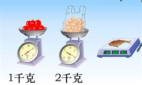 揭秘！1磅究竟对应多少公斤？ 4