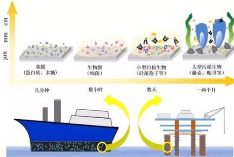 污垢产生机制与形成过程 3