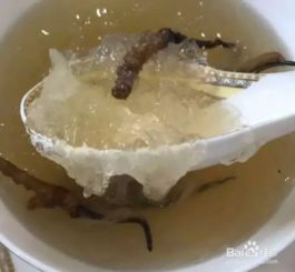 如何制作鲜炖虫草燕窝？ 2