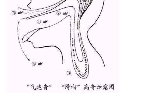 深入了解：什么是气泡音？ 2