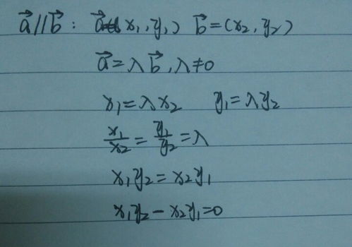 揭秘！高中必学向量公式大全，助你轻松掌握向量奥秘 1