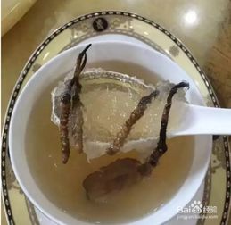 如何制作鲜炖虫草燕窝？ 3
