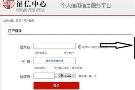 一键查询个人信用报告 - 中国人民银行征信中心官方服务平台 4