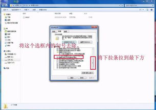在Win7系统中更改文件扩展名的方法 4