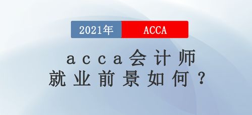 会计学：探索未来职场的璀璨“钱”途 2