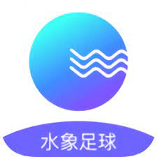 水象足球