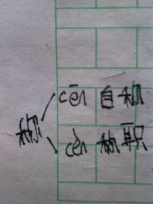 揭秘多音字奥秘：玩转多样组词，提升语言魅力！ 1