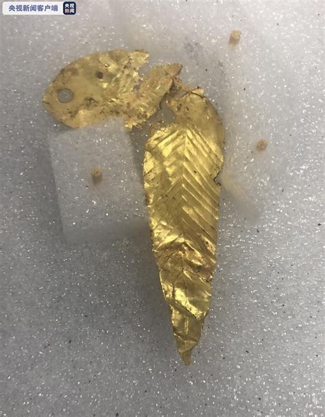 三星堆8号坑惊现近60片璀璨金叶，独特魅力引人瞩目 1