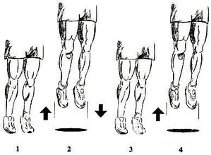 提升弹跳力的有效练习方法 2