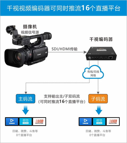 千视电子高清解码器：轻松解锁网络视频新视界 1