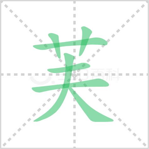 揭秘“芙”的正确拼音 1