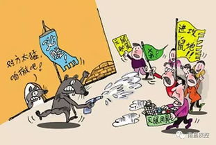 家居防鼠必备秘籍，打造无鼠安心家！ 1