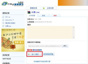 轻松掌握：用下载软件下载Rayfile文件（HTTP协议全攻略） 2