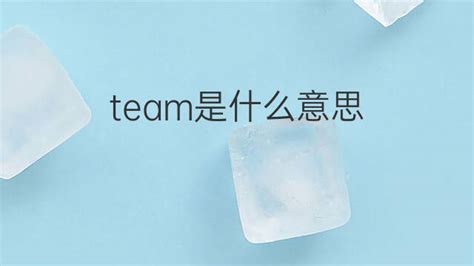 team的含义解析 3