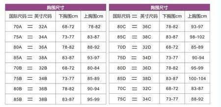 揭秘：罩杯尺码的全解析与选择指南 2