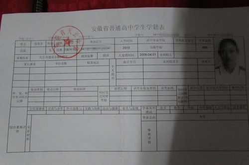 如何查询学籍号？ 2