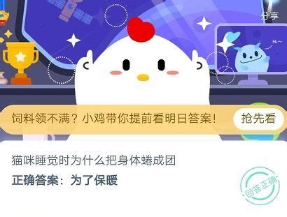 猫咪睡眠中是否会如人类般做梦探究 2