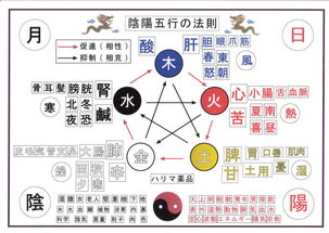 揭秘：五行、五色、五味分别代表什么？ 3