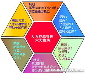 揭秘：人力资源管理的六大核心板块详解 2