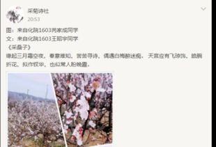 许嵩《宿敌》歌词中“三月春花渐次醒”是否有出处？ 2