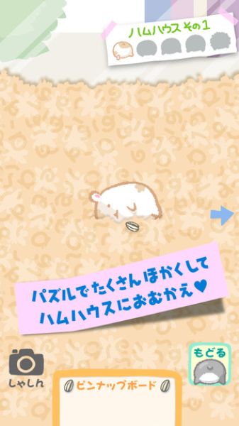 仓鼠屁屁大师(ハムケツ)