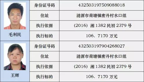 一键速查！失信人员名单查询全攻略