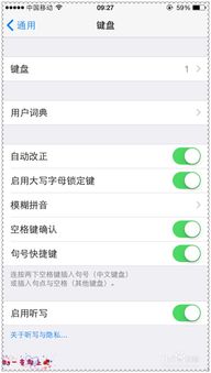 让iPhone秒变智能！轻松设置搜狗输入法教程 2