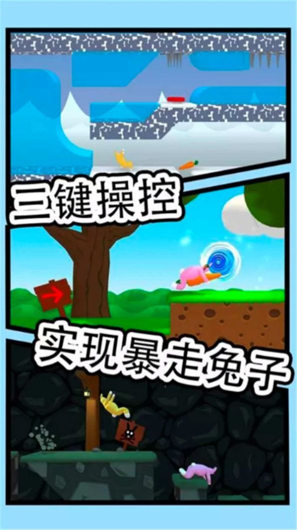 疯狂兔子人双人中文版