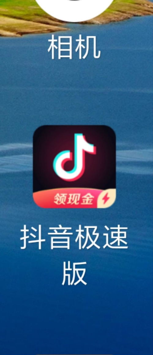 如何查看抖音极速版的当前版本？ 1