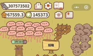 动物餐厅招租策略指南 3