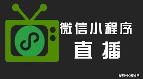 怎样快速开通微信直播，开启你的线上新舞台？ 4